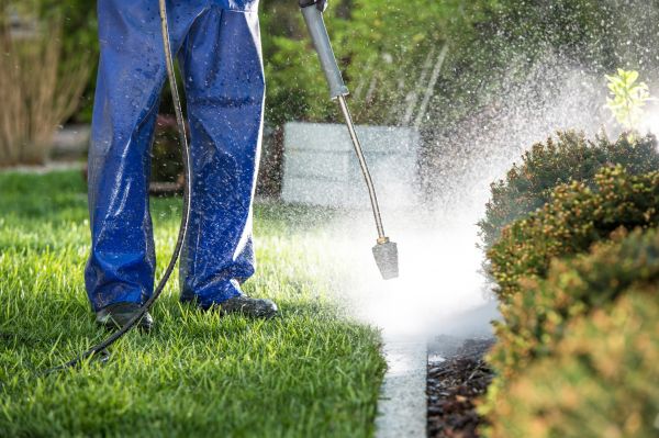 Cost of Curb Cleaning in Cary