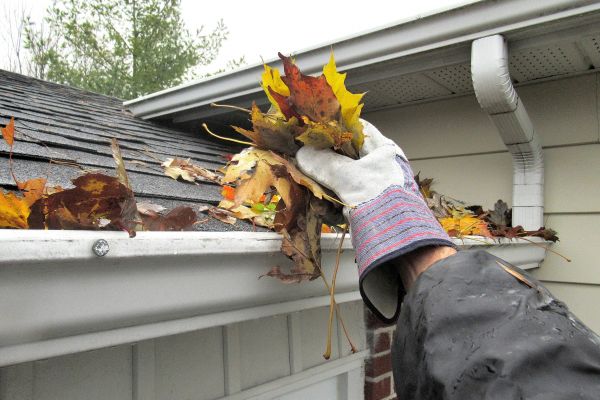 Cost of Eaves Cleaning in Cary